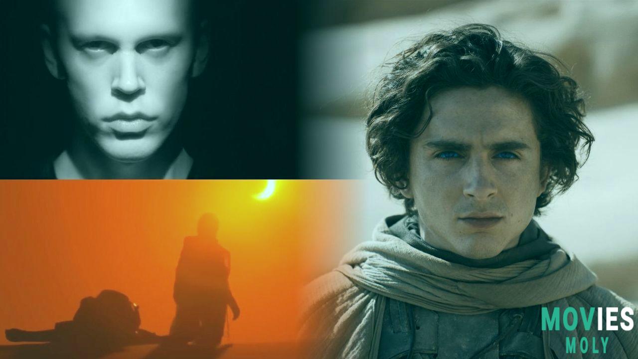 Dune Part Two: Behind the Scenes Secrets Oscar Buzz and Why It's a Sci-Fi Masterpiece - MoviesMoly Main Image