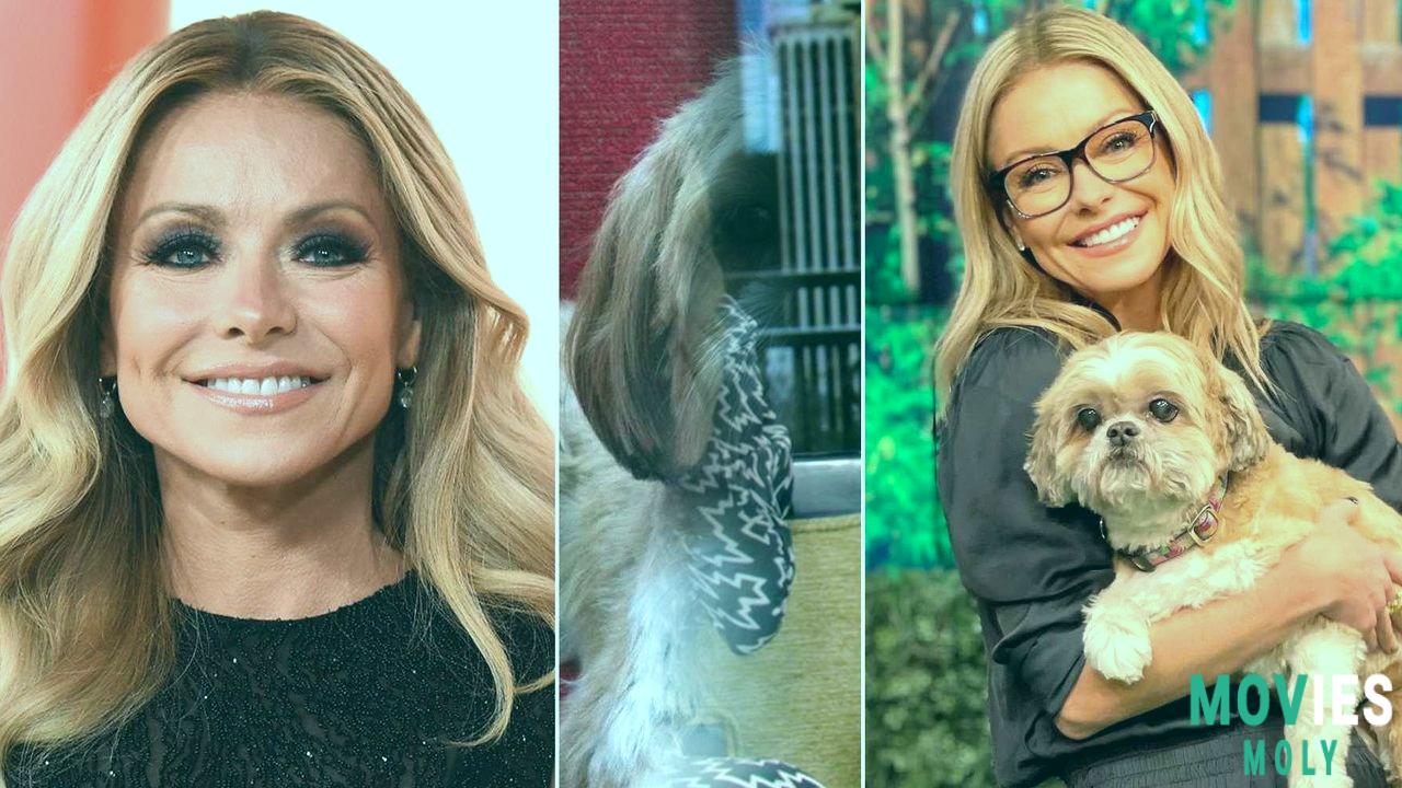 Mark Consuelos Shows Support For Kelly Ripa Amidst Heartbreak Over Demise Of Beloved Dog Main Image