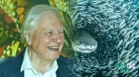 David Attenborough Makes Fossils Walk Again & Tom Hanks Narrates Nature But Some Fans Are Not Happy?