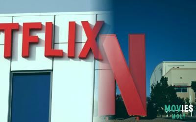 Netflix Stock Q4 Earnings Preview: Subscriber Shift & Growth Strategy