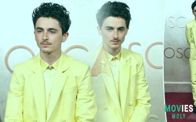 Timothée Chalamet's Bob Dylan Transformation: From Red Carpets to SNL Stage! - MoviesMoly