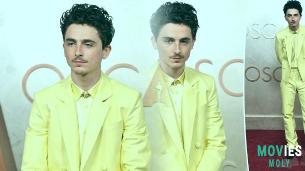 Timothée Chalamet's Bob Dylan Transformation: From Red Carpets to SNL Stage! - MoviesMoly