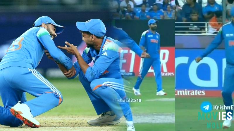 Beyond Boundaries: Virat Kohli's Amazing Gesture and Nail- biting Drama in India vs New Zealand Clash image 3 