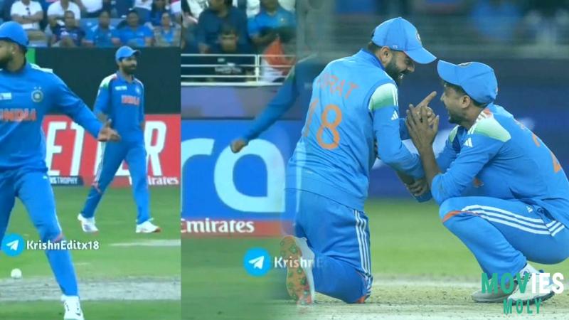 Beyond Boundaries: Virat Kohli's Amazing Gesture and Nail- biting Drama in India vs New Zealand Clash image 4 