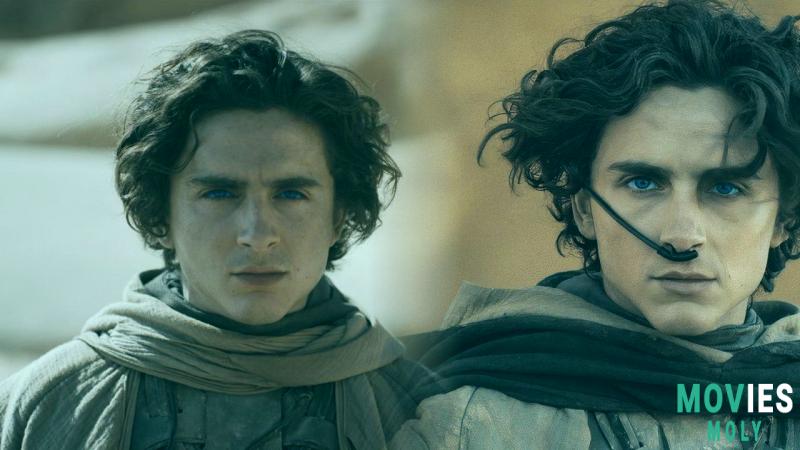 Decoding Dune's Paul Atreides: Powers Names Oscar Glory and More! image 5 