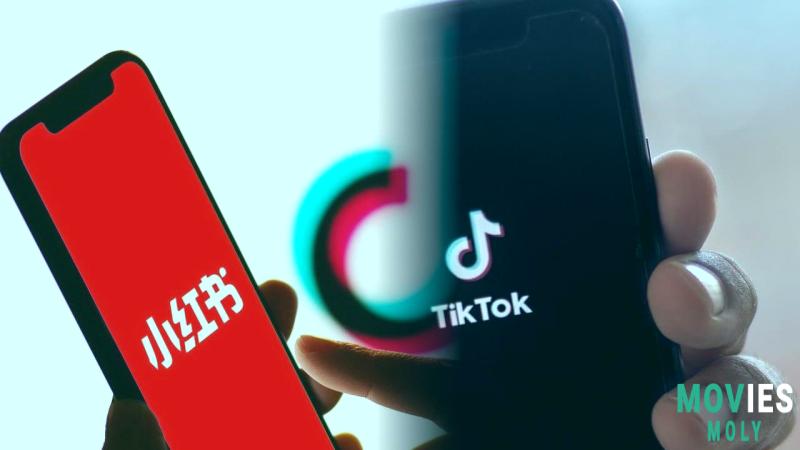 TikTok App: Availability, Political Impact, and Alternatives image 7 