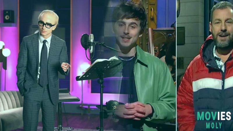 Timothée Chalamet's SNL: Satire, Bob Dylan, and Surprise Guests image 3 