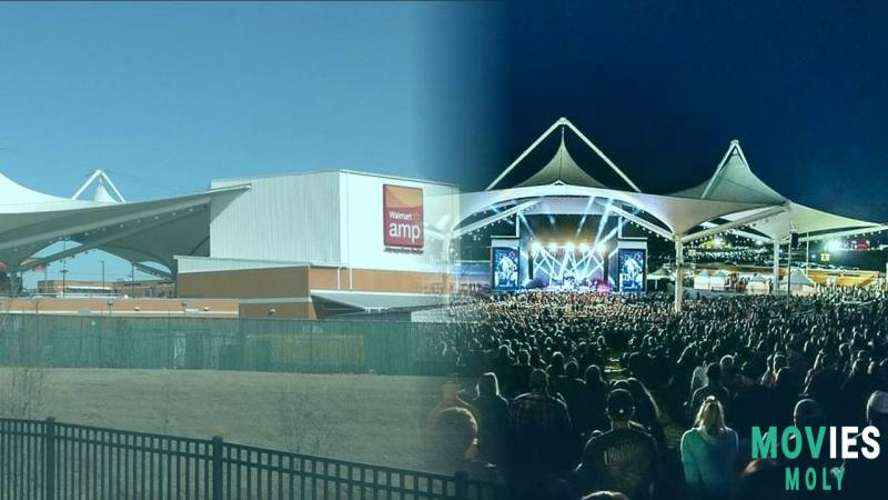 Walmart AMP Transitions to Ticketmaster: User Concerns and Ticketing Options Explored image 3 